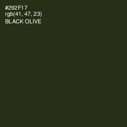 #292F17 - Black Olive Color Image