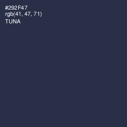 #292F47 - Tuna Color Image