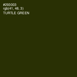 #293003 - Turtle Green Color Image