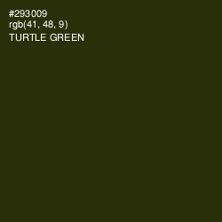 #293009 - Turtle Green Color Image