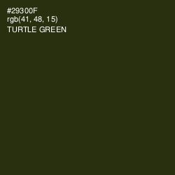 #29300F - Turtle Green Color Image