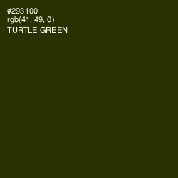 #293100 - Turtle Green Color Image