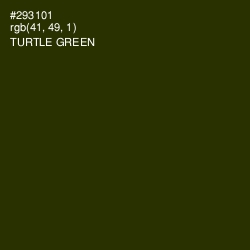 #293101 - Turtle Green Color Image