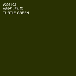 #293102 - Turtle Green Color Image