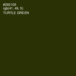 #293105 - Turtle Green Color Image