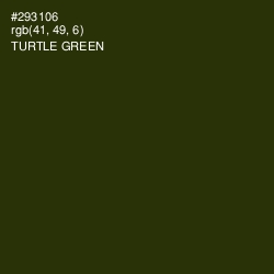 #293106 - Turtle Green Color Image