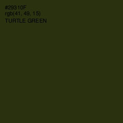 #29310F - Turtle Green Color Image