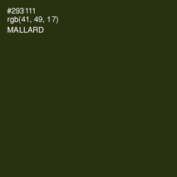 #293111 - Mallard Color Image