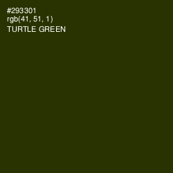 #293301 - Turtle Green Color Image