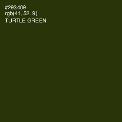 #293409 - Turtle Green Color Image