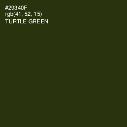 #29340F - Turtle Green Color Image