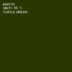 #293701 - Turtle Green Color Image