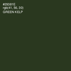 #29381E - Green Kelp Color Image