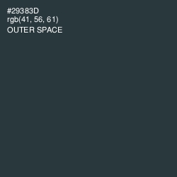 #29383D - Outer Space Color Image