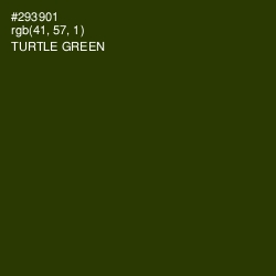 #293901 - Turtle Green Color Image