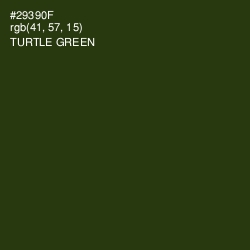 #29390F - Turtle Green Color Image