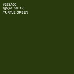 #293A0C - Turtle Green Color Image