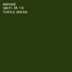 #293A0E - Turtle Green Color Image