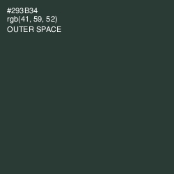 #293B34 - Outer Space Color Image