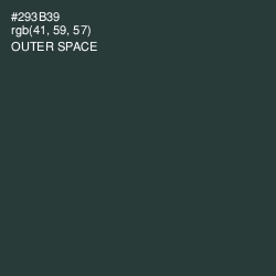 #293B39 - Outer Space Color Image