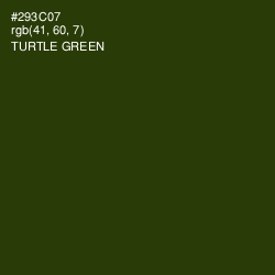 #293C07 - Turtle Green Color Image