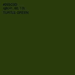 #293C0D - Turtle Green Color Image