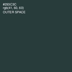 #293C3C - Outer Space Color Image