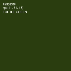 #293D0F - Turtle Green Color Image