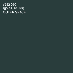 #293D3C - Outer Space Color Image