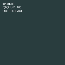 #293D3E - Outer Space Color Image