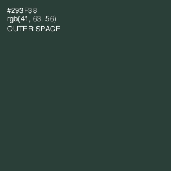 #293F38 - Outer Space Color Image