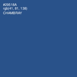 #29518A - Chambray Color Image