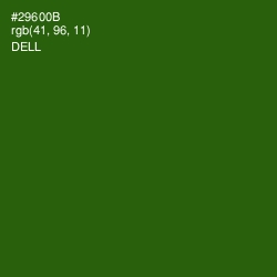 #29600B - Dell Color Image