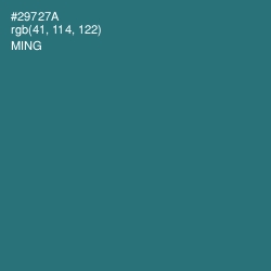 #29727A - Ming Color Image