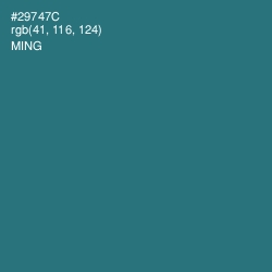 #29747C - Ming Color Image