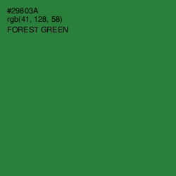 #29803A - Forest Green Color Image