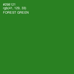 #298121 - Forest Green Color Image