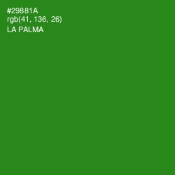 #29881A - La Palma Color Image