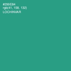 #299E84 - Lochinvar Color Image