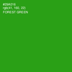 #29A016 - Forest Green Color Image