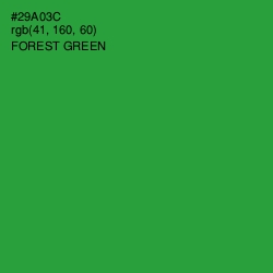 #29A03C - Forest Green Color Image