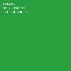 #29A03F - Forest Green Color Image