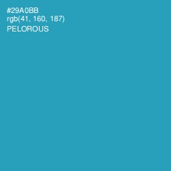 #29A0BB - Pelorous Color Image