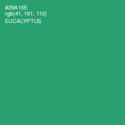 #29A16E - Eucalyptus Color Image