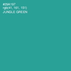 #29A197 - Jungle Green Color Image