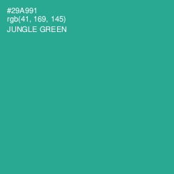 #29A991 - Jungle Green Color Image