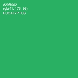 #29B062 - Eucalyptus Color Image