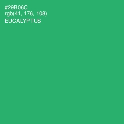 #29B06C - Eucalyptus Color Image