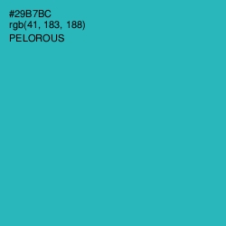 #29B7BC - Pelorous Color Image