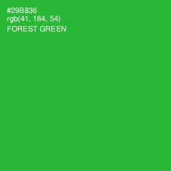 #29B836 - Forest Green Color Image
